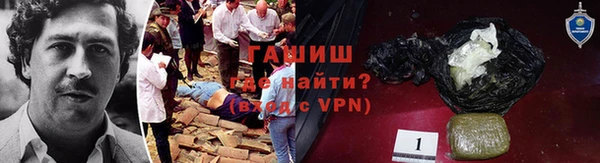 прущие грибы Богородск