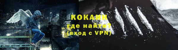 прущие грибы Богородск