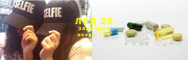 прущие грибы Богородск